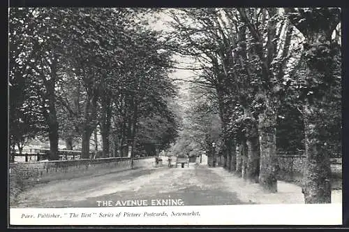 AK Exning, The Avenue