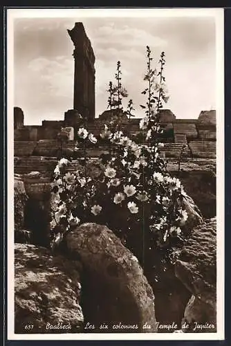 AK Baalbeck, Les six colonnes du Temple de Jupiter