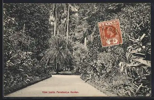 AK Ceylon, View Inside Peradeniya Garden