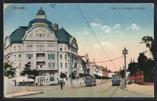 AK Temesvár, Liget ut a Hungaria fürdövel, Strassenbahnen