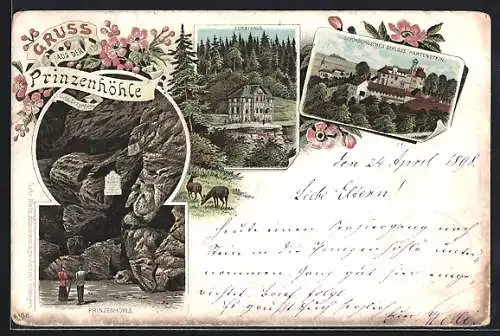 Lithographie Hartenstein / Sachsen, Schönburgsches Schloss Hartenstein, Forsthaus, Prinzenhöhle