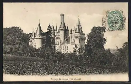 AK Bagnac, Château de Bagnac entouré de verdure