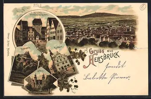 Lithographie Hersbruck, Ortsansicht aus der Vogelschau, Blick auf Thorpartie, Rathaus und Schloss