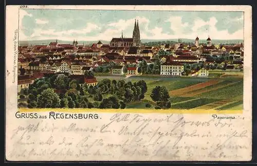 Lithographie Regensburg, Panorama mit Kirche