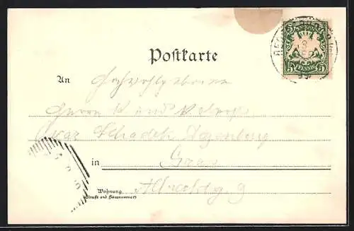 Lithographie Regensburg, Ortsansicht, Dom