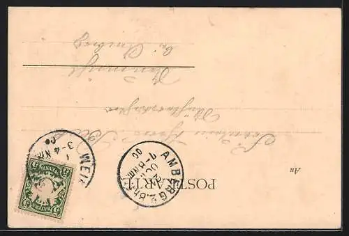 AK Weiden / Oberpfalz, Strassenpartie, Denkmal und Panorama