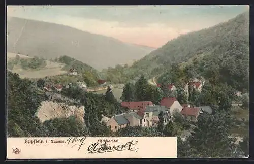 AK Eppstein i. Taunus, Blick aufs Fischbachtal