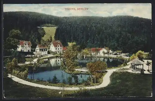 AK Triberg, Partie am Bergsee