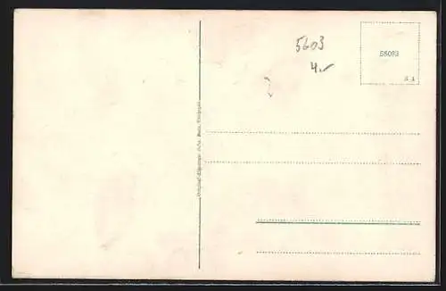 AK Triberg, Partie am Bergsee