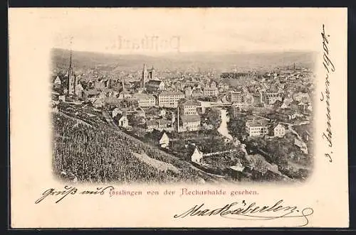 AK Esslingen / Neckar, Blick von der Neckarhalde