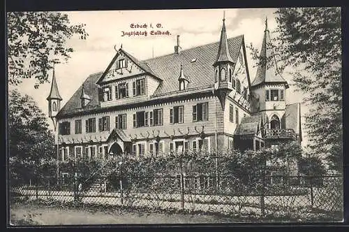 AK Erbach / Odenwald, Blick zum Jagdschloss Eulbach