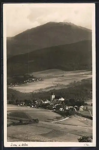 AK Lam, Teilansicht mit Kirche und Arber