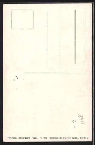 AK Hildesheim, Blühender Garten des Doms