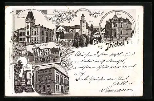 Lithographie Triebel /N. L., Rathaus, Angermanns Hotel und Kriegerdenkmal