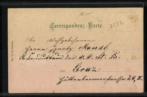 Lithographie Leoben /Obersteier, Neue Bergakademie, Pfarrkirche und Stadtturm