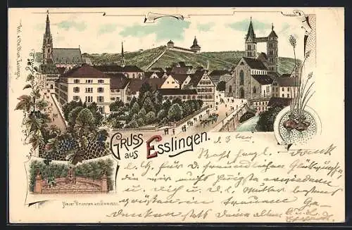 Lithographie Esslingen / Neckar, Ortsansicht mit Kirche, Neuer Brunnen am Seminar