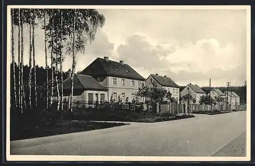 AK Ottendorf-Okrilla /Dresden, Partie an der Forstsiedlung