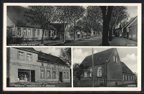 AK Nedlitz /Zerbst, Bäckerei Paul Schütze, Dorfstrasse und Schule