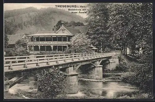 AK Treseburg i. Harz, Bodebrücke m. Hotel Forelle