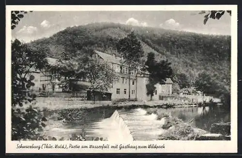 AK Schwarzburg /Thür. Wald, Partie am Wasserfall mit Gasthaus zum Wildpark