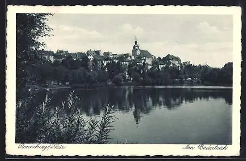 AK Ronneburg /Thür., Am Baderteich