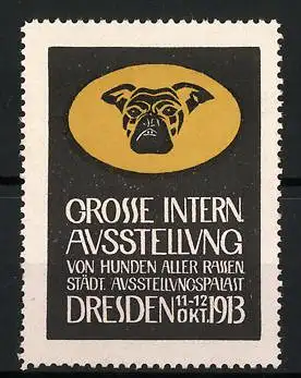 Reklamemarke Dresden, Grosse Internationale Ausstellung von Hunden aller Rassen 1913, Hundekopf