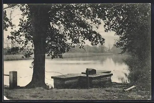 AK Braunschweig, Seeblick am Wege zum grünen Jäger