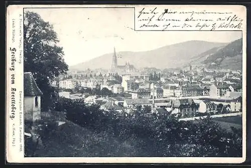 AK Freiburg i. B., Totalansicht vom Lorettoberg