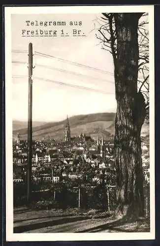 AK Freiburg i. Br., Blick über die Dächer