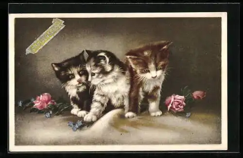 Künstler-AK Drei Katzenbabys und Rosen