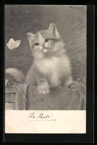 Künstler-AK Katze betrachtet einen Schmetterling
