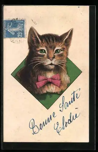 AK Katze mit rosaner Schleife