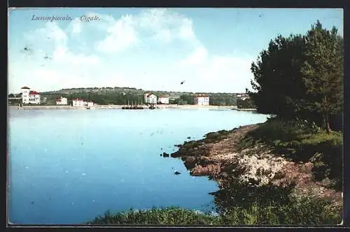 AK Lussinpiccolo, Cigale, Küstenpanorama