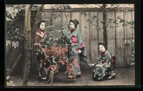 AK drei Japanerinnen in Kimono in Garten, Geishas