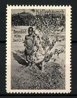 Reklamemarke Deutsch-Ost-Afrika, Benediktiner Mission, schwarzes Mädchen am Kaffeebäumchen