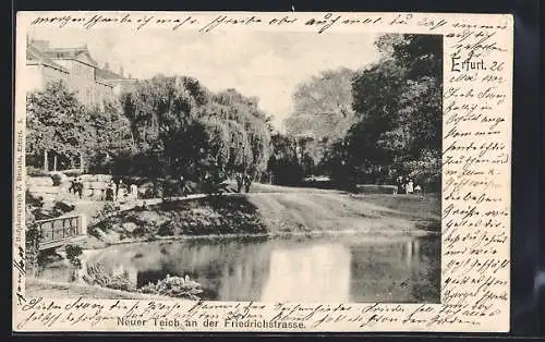 AK Erfurt, Neuer Teich an der Friedrichstrasse