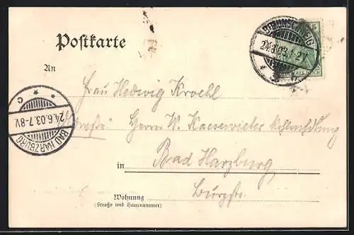 AK Braunschweig, Hoftheater