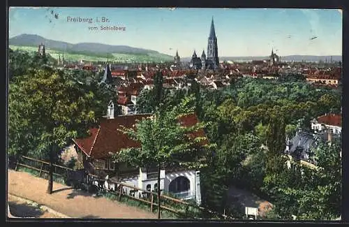 AK Freiburg i. Br., Teilansicht mit Kirche vom Schlossberg aus