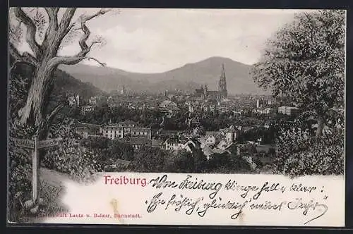 AK Freiburg i. B., Blick über die Stadt