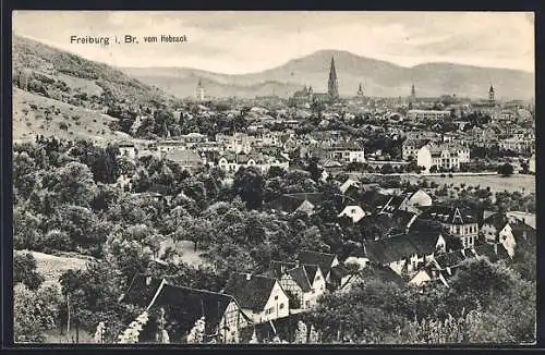 AK Freiburg i. Br., Teilansicht mit Kirche vom Hebsack aus