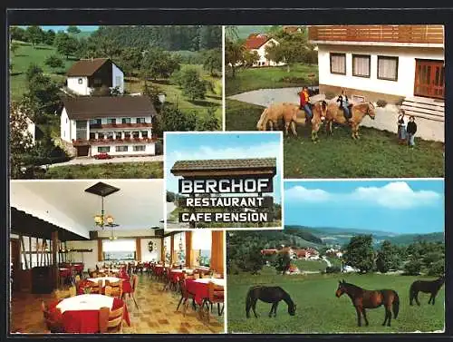 AK Erzbach, Pension Berghof, Bes. Fam. Helmut Hartmann