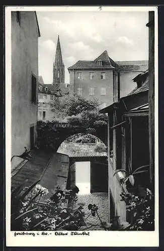 AK Freiburg i. Br., Alter Winkel mit Münster