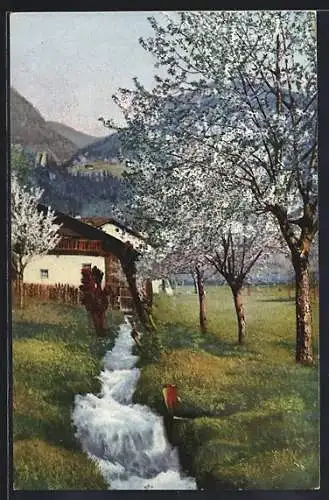 Künstler-AK Photochromie Nr.2713: Ostblüte in Süd-Tirol