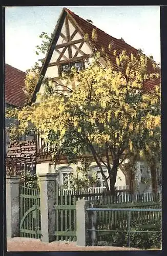 Künstler-AK Photochromie Nr. 1290: Fachwerkhaus und Baumblüte