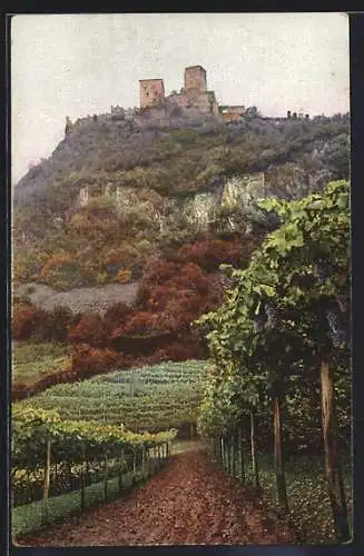 Foto-AK Photochemie Berlin Nr. 3489: Landschaftsbild mit Burg Hocheppan