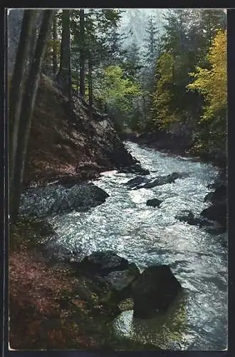 Foto-AK Photochemie Berlin Nr. 1667: Dresdner Heide, beim Wasserfall im Priessnitzgrund