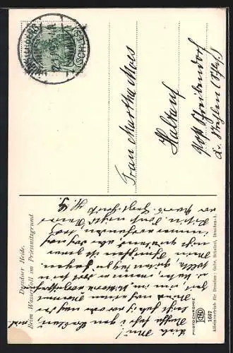 Foto-AK Photochemie Berlin Nr. 1667: Dresdner Heide, beim Wasserfall im Priessnitzgrund