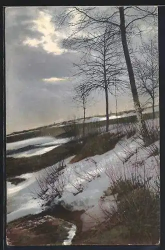 Künstler-AK Photochromie Nr.1145: Winterlandschaft mit kahlen Bäumen