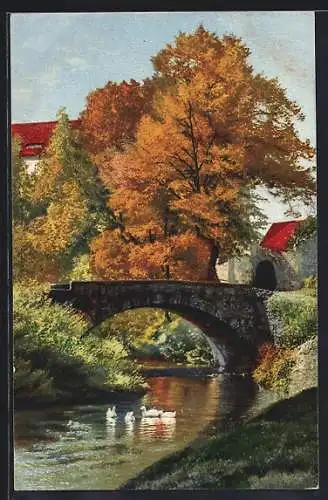 AK Photochromie NR 4189: Brücke am Fluss im Herbst