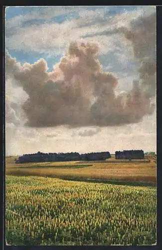 Foto-AK Photochemie Berlin Nr. 4133: Landschaftsidylle mit interessanter Wolkenformation